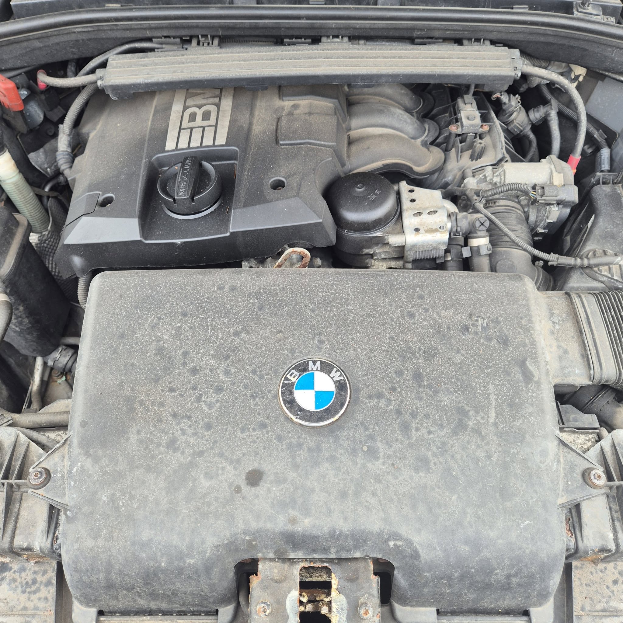 504024675_1135178685317088_8566477822246165311_n